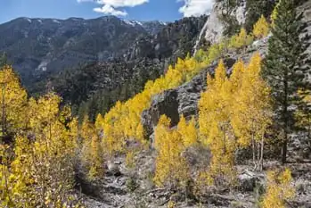 Great Places to See Fall Foliage near Vegas